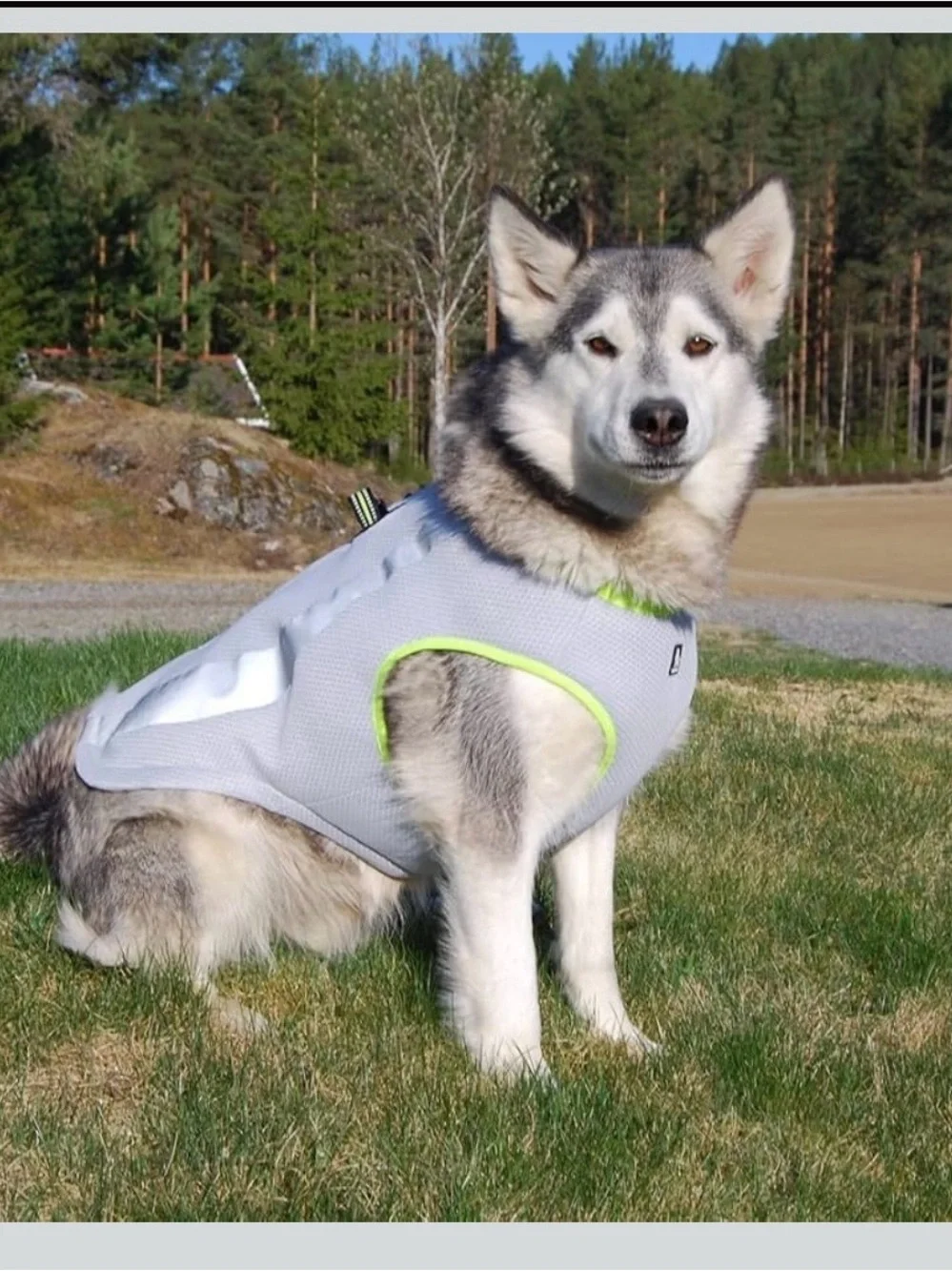 SGODA Dog Cooling Vest Harness Cooler Jacket Grey Green XL. 2578/DB-1